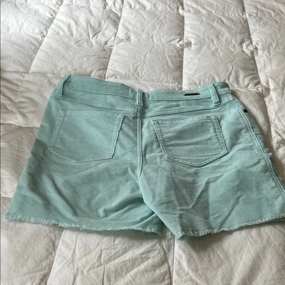 Carve Designs turquoise green/blue Jean Shorts - Picture 3 of 5